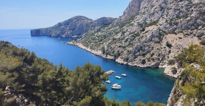 Marseille: Guided Hiking Calanques National Park from Luminy - An In-Depth Look at the Experience