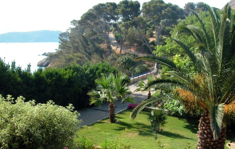 Marseille: La Ciotat Cinema & Nature Half Day Trip - Who Will Love This Tour?