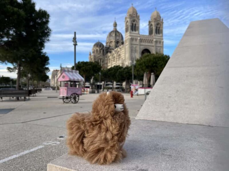 Marseille: Private Customised Walking 2-Hour Tour - Key Points