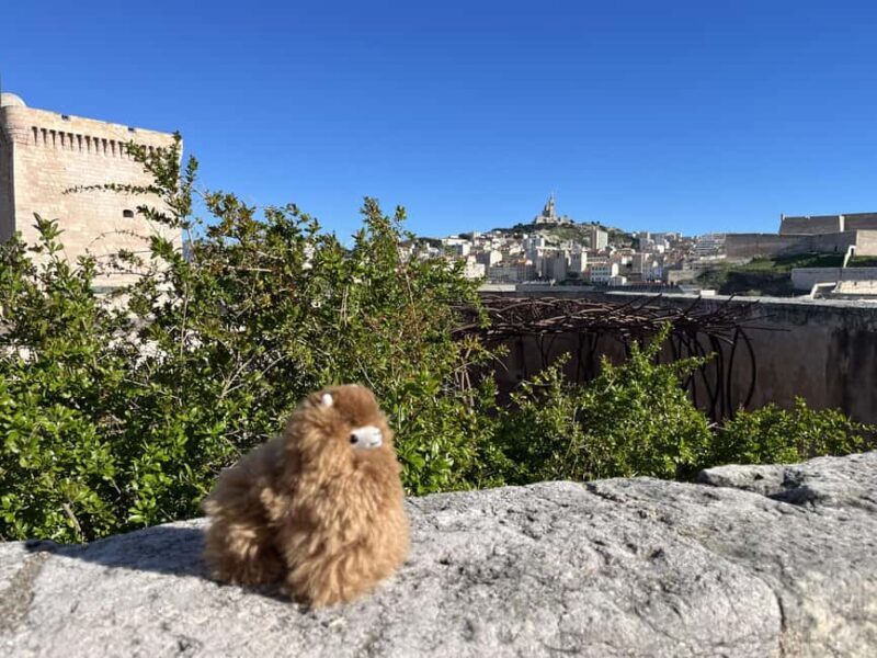 Marseille: Private Customised Walking 2-Hour Tour - A Deep Dive into the Tour Experience