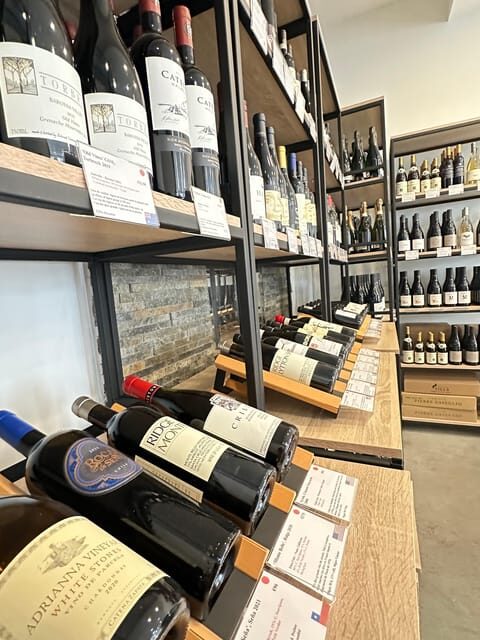 Marseille: Tailored Wine Tasting Experience in Top Wine Shop - A Deep Dive into the Marseille Wine Tasting Experience