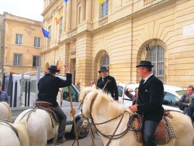 Marseille: The Camargue 8-Hour Guided Outing - Starting Point and Transportation