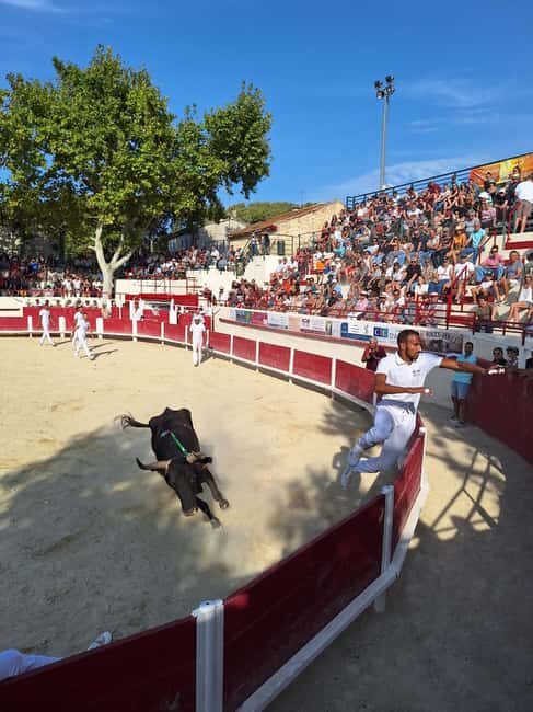 Marseille: The Camargue 8-Hour Guided Outing - Practical Details and Value