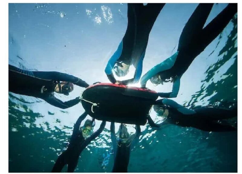 Marseille: visit the National Park on a snorkeling trip - A Closer Look at the Snorkeling Experience