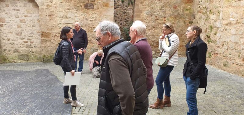 Martel: Guided Tour with a Tour Guide - Key Points
