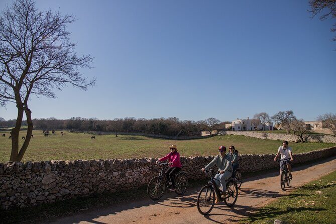 Martina Franca e-Bike tour . Visit a breeding and a dairy farm - What Travelers Are Saying