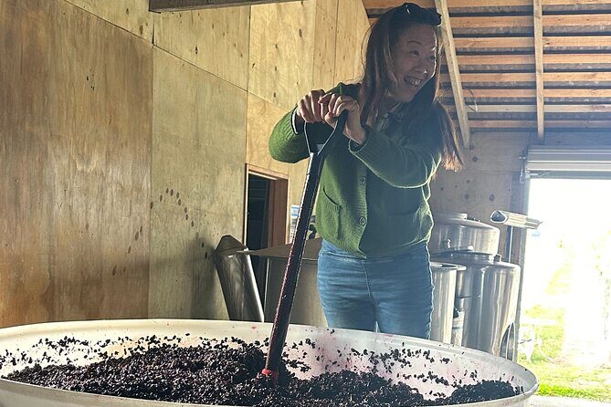 Martinborough Private Food and Wine Tour in Tesla SUV - What Sets This Tour Apart?