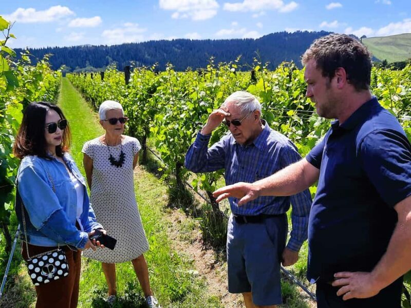 Martinborough Wine and Food Tour with Lunch from Wellington - Introducing the Martinborough Wine and Food Tour with Lunch from Wellington