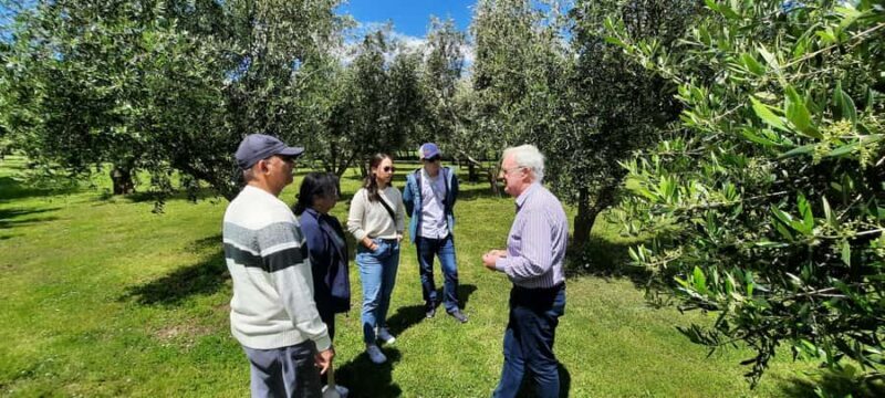 Martinborough Wine and Food Tour with Lunch from Wellington - Final Thoughts