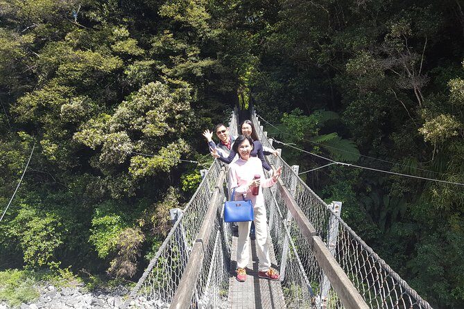 Martinborough Wine and Wild Coast Tour from Wellington - Who Will Enjoy This Tour?