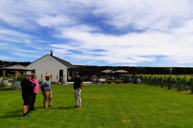 Martinborough Winery and Foodie Day Tour with vineyard lunch - Olive Oil Tasting at Olivo