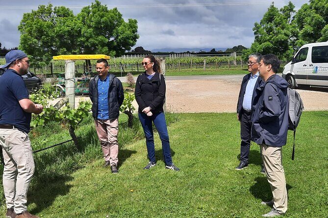 Martinborough Winery and Foodie Day Tour with vineyard lunch - Chocolate Finale at Schoc Chocolates