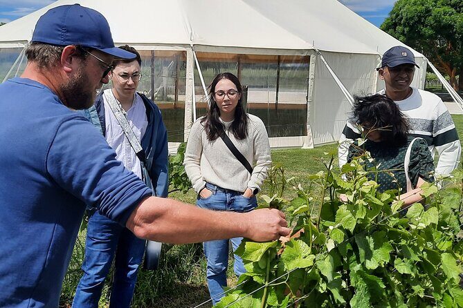 Martinborough Winery and Foodie Day Tour with vineyard lunch - What People Say