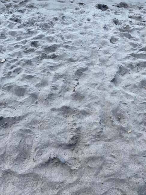 Martinique: Private Tour with Local Guide - Authentic Local Insights from Reviews