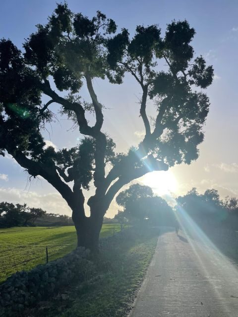 Marvão: bike tours in nature - Authentic Experiences Shared by Travelers