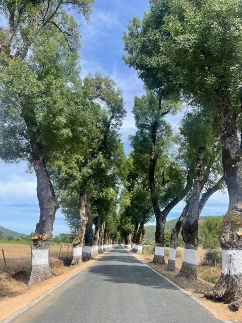 Marvão: Buggy & Quad Tours - Authentic Experiences and Traveler Feedback