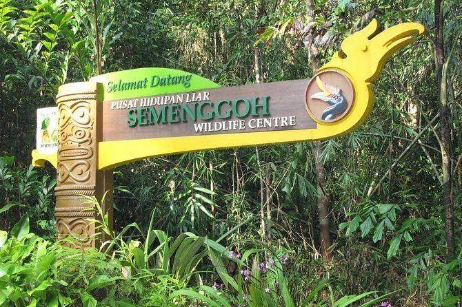 Marvellous Creature Orangutan : Sarawak Semenggoh Wildlife Centre Tour - The Sum Up: Is This Tour Worth Your Time?