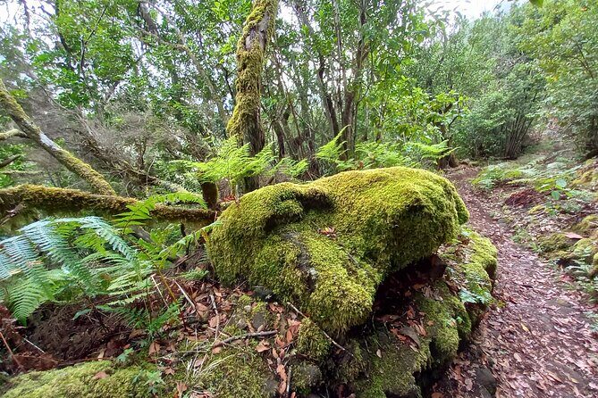 Masca from above - Analyzing the Value