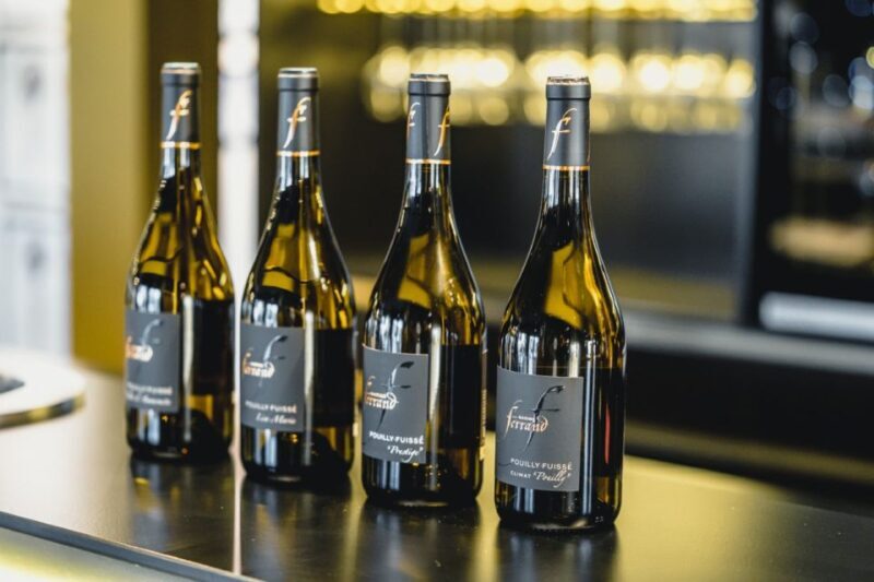 Mason: Visit and Tasting of the Estate's Wines - Exploring the Estate Experience in Detail