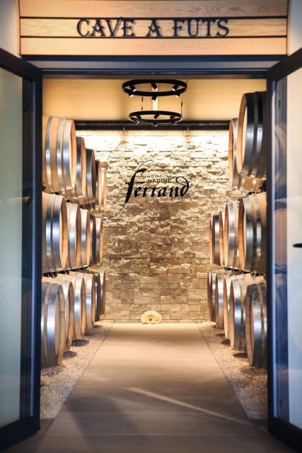 Mason: Visit and Tasting of the Estate's Wines - Who Should Consider This Tour?