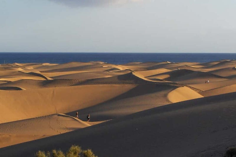 Maspalomas: 1 Hour Segway Sightseeing Tour - The Experience: What to Expect