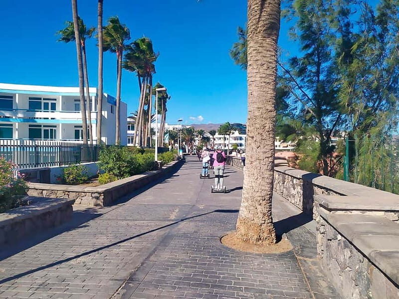 Maspalomas: 1 Hour Segway Sightseeing Tour - The Guides and Their Insights