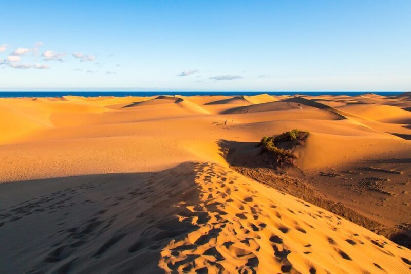 Maspalomas and Mogan: beaches tour - Key Points