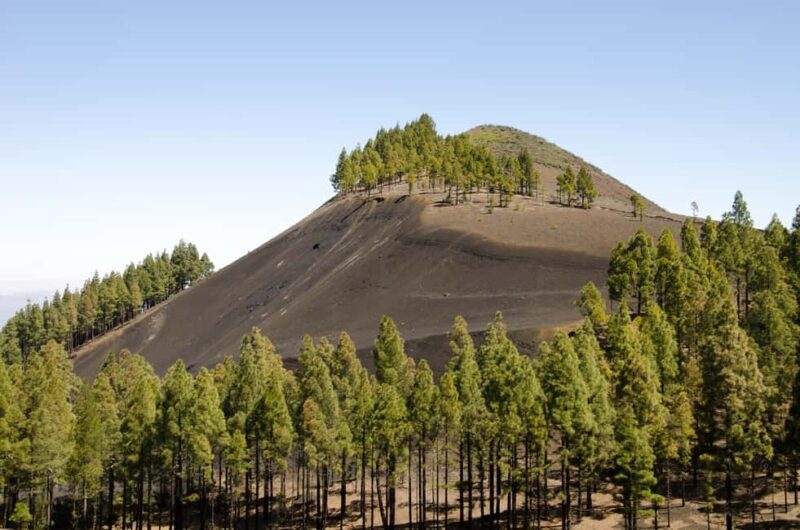 Maspalomas & Las Palmas: Artenara, Tamadaba & cider tasting - Who Will Love This Tour?