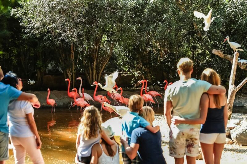 Maspalomas: Palmitos Park Ticket with Dolphin and Bird Shows - Frequently Asked Questions