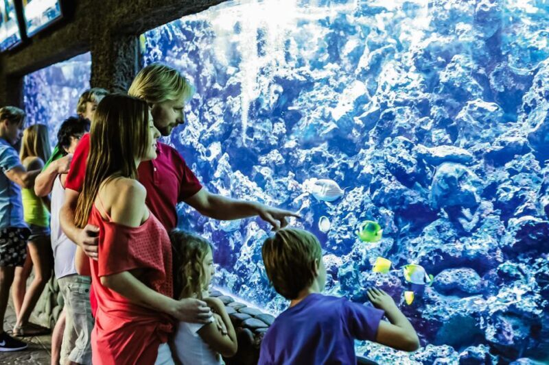 Maspalomas: Palmitos Park Ticket with Dolphin and Bird Shows - Final Thoughts