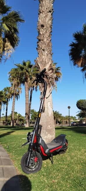 Maspalomas & Playa del Ingles: Guided Electric Segway Tour - An In-Depth Look at the Guided Segway Tour in Maspalomas