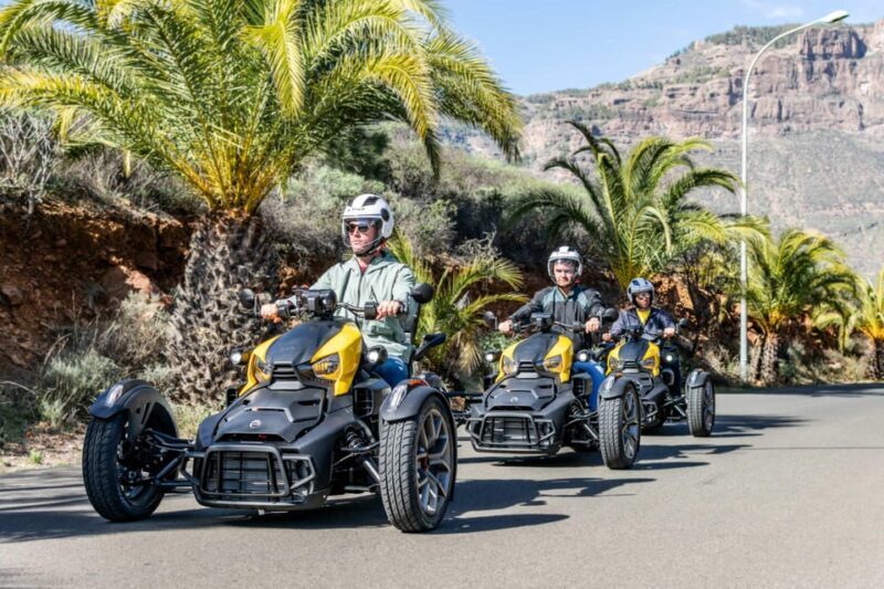 Maspalomas: Ryker Moto Tour to Fataga (Mountain buggy) - Aloe Vera Plantation and Panoramic Views