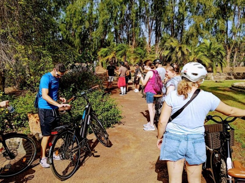 Maspalomas: Southern Coast E-Bike Tour Option Tapas Tasting - Review Insights from Past Participants
