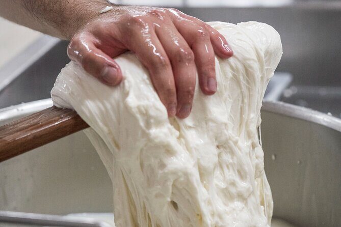 Masseria Seppunisi Tour - Mozzarella and Burrata experience - An In-depth Look at the Experience