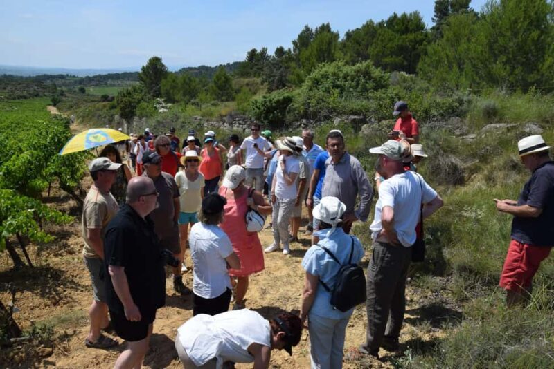 Massmamier La Mignarde : Wine Tasting - Key Points