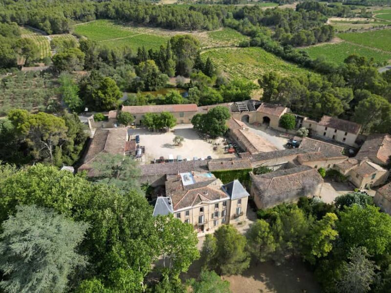 Massmamier La Mignarde : Wine Tasting - A Closer Look at the Experience