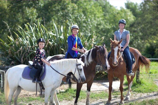 Matakana Art & Horse Riding Experience Private Tour From Auckland - Key Points