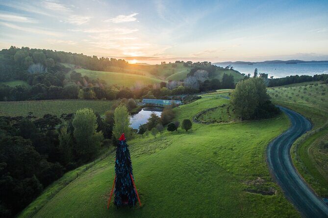 Matakana Art & Vineyard Experience incl. Lunch & Wine Tasting Tour From Auckland - Who Will Enjoy This Tour?
