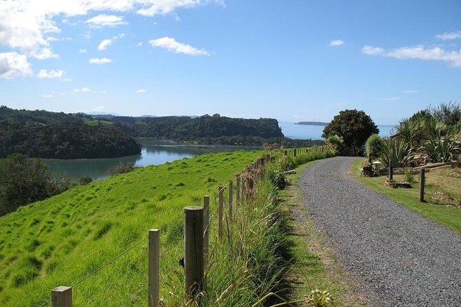 Matakana Scenic Coastal Getaway from Auckland - Key Points