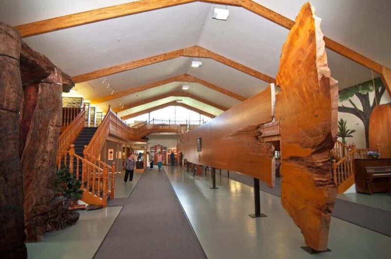 Matakohe: The Kauri Museum Entry Ticket - FAQ: Your Questions About The Kauri Museum