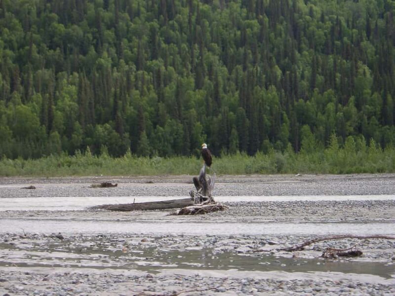 Matanuska River Scenic Float - The Sum Up: Is the Matanuska River Scenic Float Worth It?