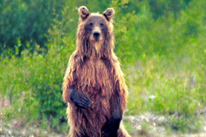 Matanuska River Scenic Float - The Itinerary Breakdown