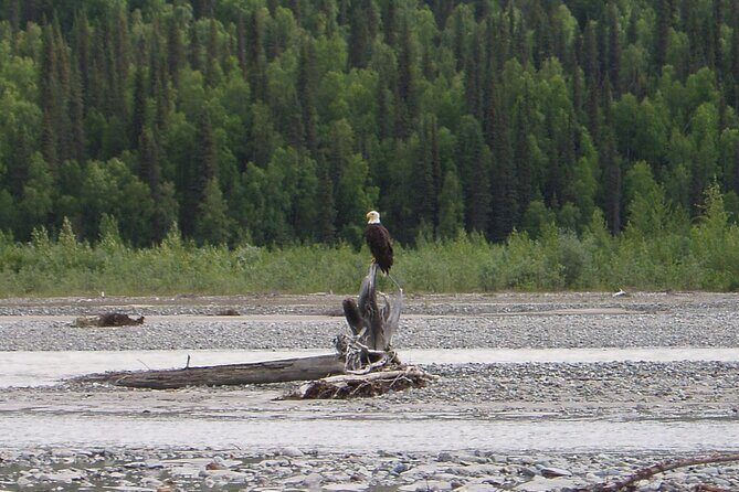 Matanuska River Scenic Float - Frequently Asked Questions (FAQs)