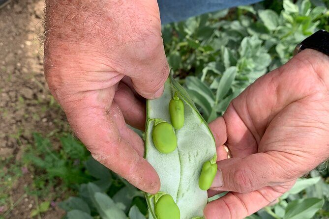 Matera Cooking Class - Final Thoughts