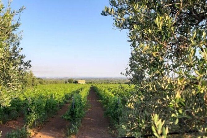 Matera half day - The Sum Up