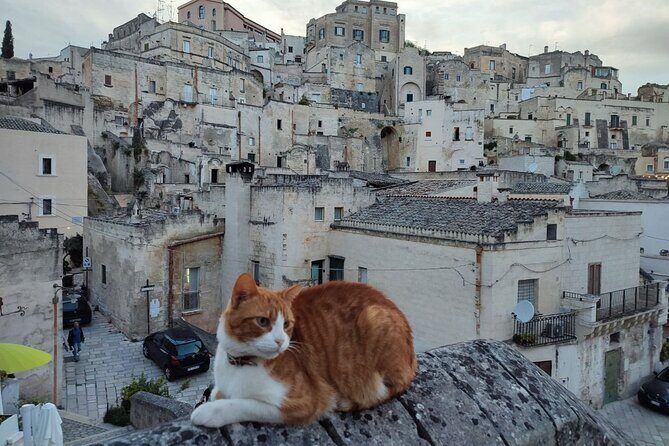 Matera Underground Cultural Sassi Tour - Note: