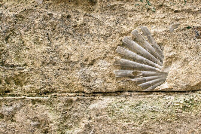 Matera Walking Tour with Audio and Written Guide by a Local - What Reviewers Say