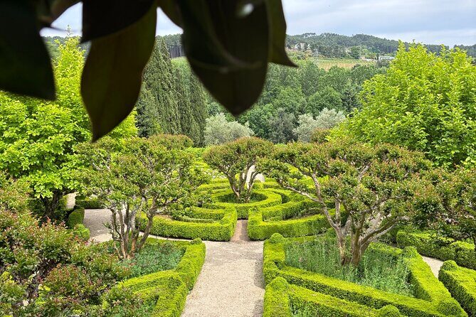 Mateus Palace, History, Art and Douro Wines - Who Will Love This Tour?