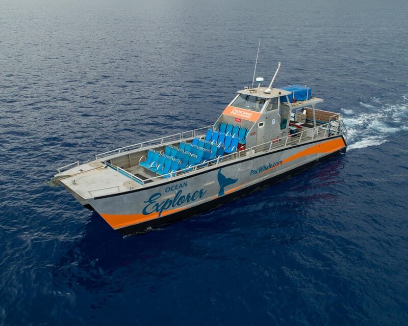 Maui: 3.5-Hour Molokini Snorkel Experience - Maui: 3.5-Hour Molokini Snorkel Experience — A Detailed Review