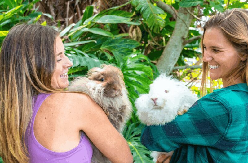Maui: Alpaca Farm Visit with Hands-On Activities - FAQs